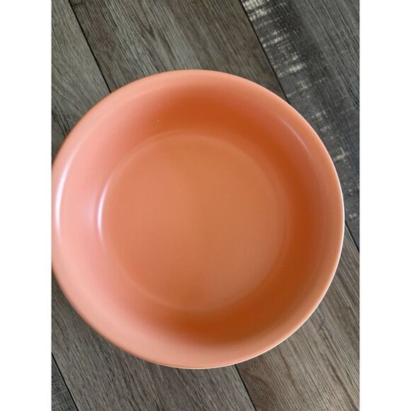 Black Rhino Ceramic Dog Bowl- Gold Iron Frame- Small- Coral Color - Picture 5 of 11